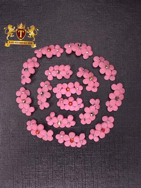 3-D Ochna Flower Shi Professional