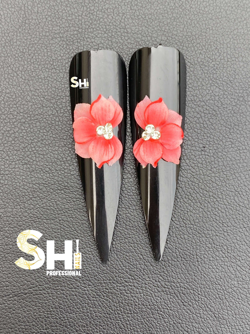3-D Artist Choice Sweatheart 2 Shi Beauty Supply