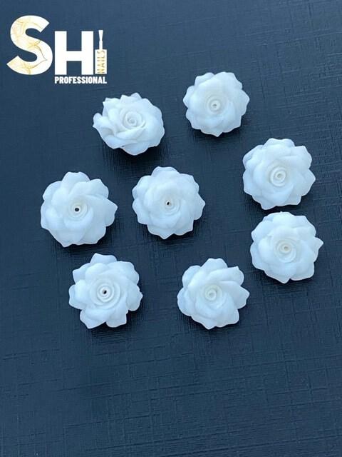 Double Delight Rose Shi Professional