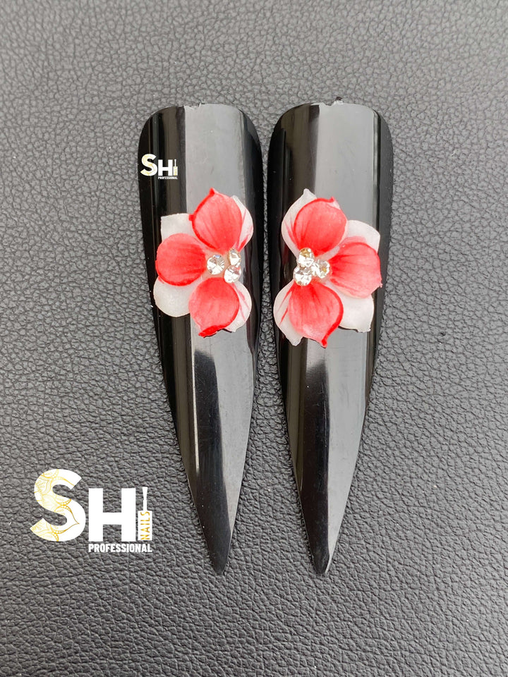 3-D Artist Choice Sweatheart 2 Shi Beauty Supply