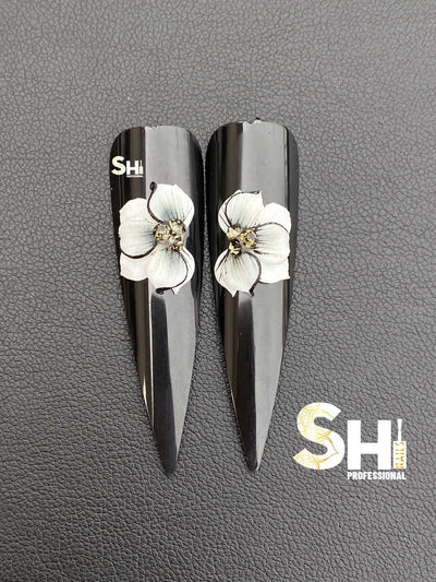 3-D Artist Choice Sweatheart 2 Shi Beauty Supply