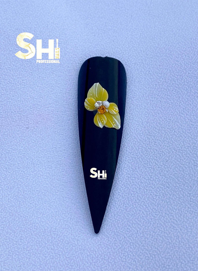 3-D Adoring Blossom Handcraft Acrylic Flowers Shi Beauty Supply