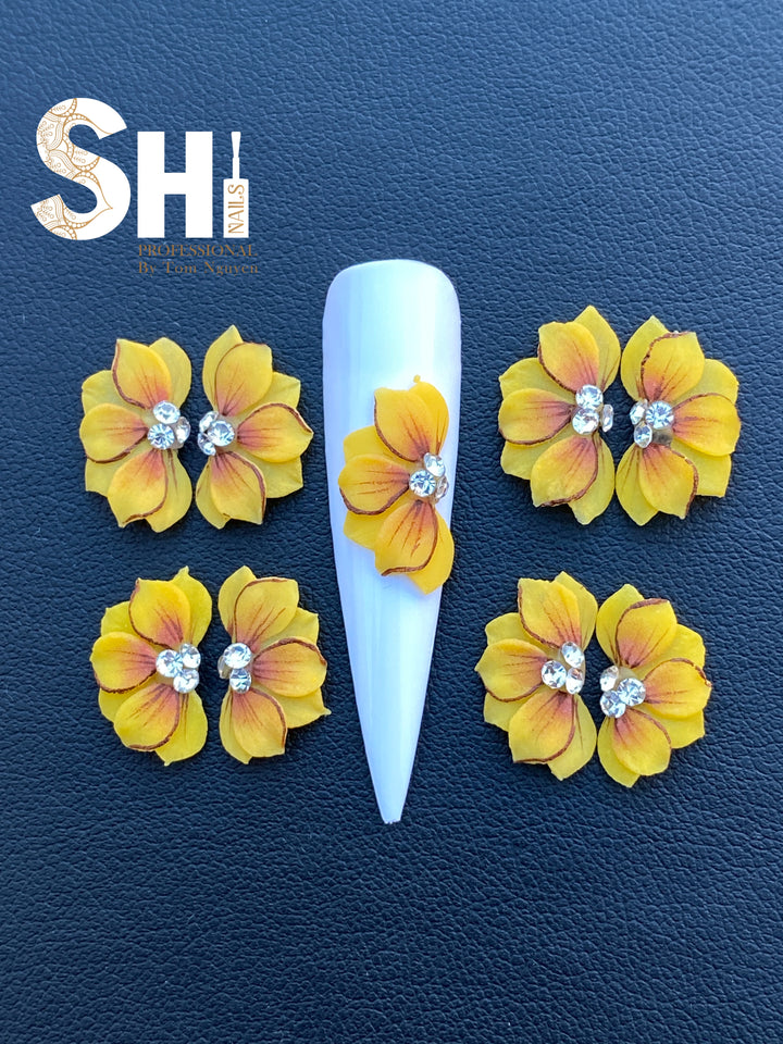Hand Painted Sweetheart Shi Professional