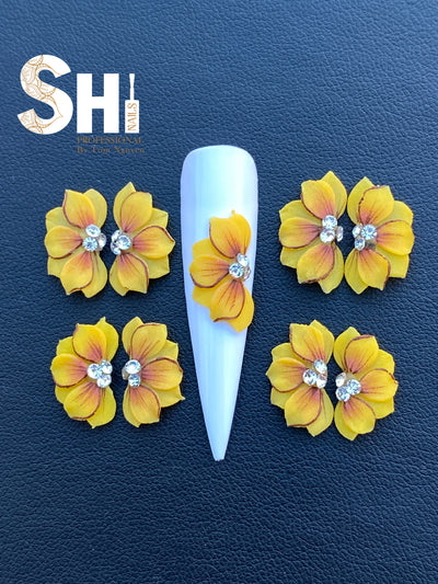 Hand Painted Sweetheart Shi Professional