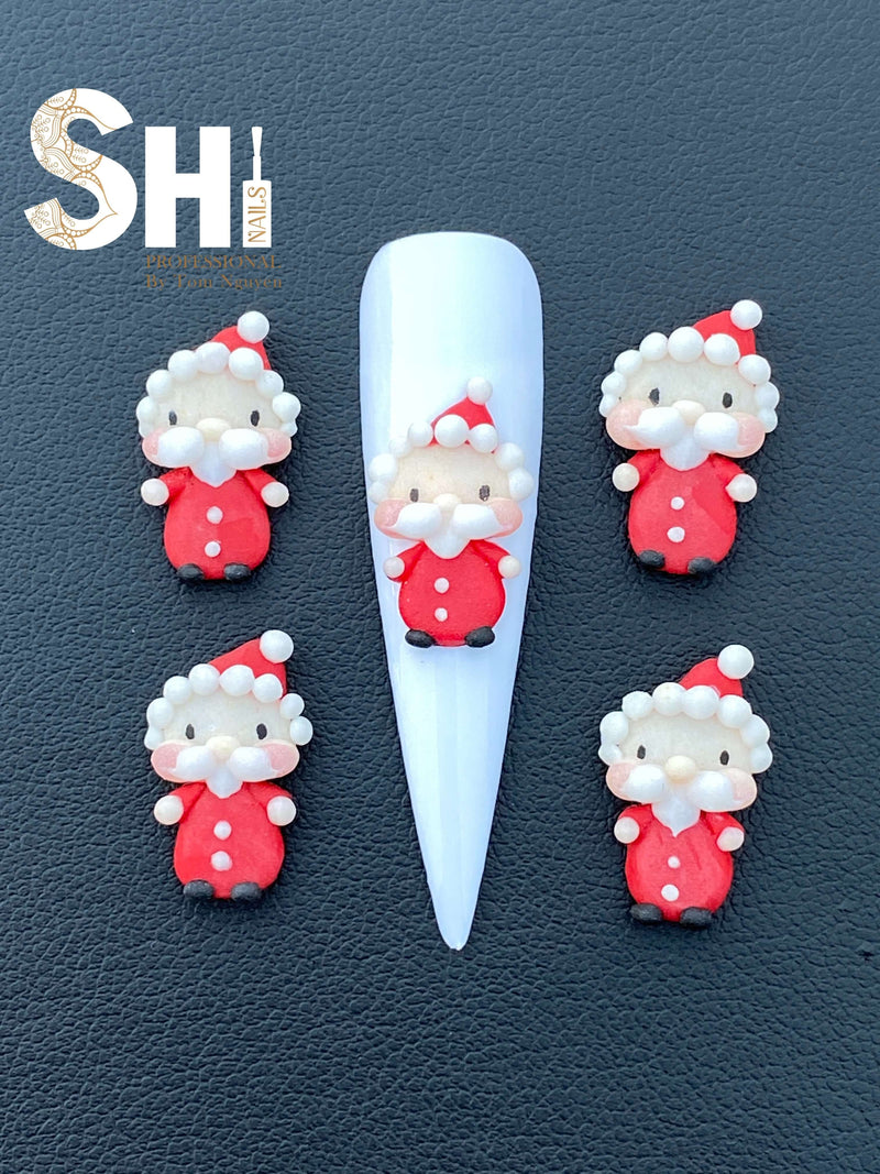 3-D Christmas Mini Santa Shi Professional