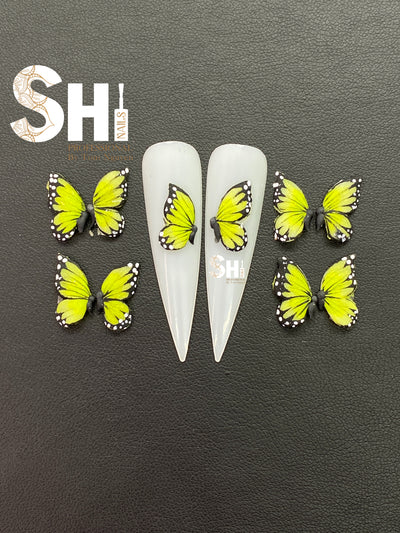 Monarch Butterfly (Half Body) Shi Professional