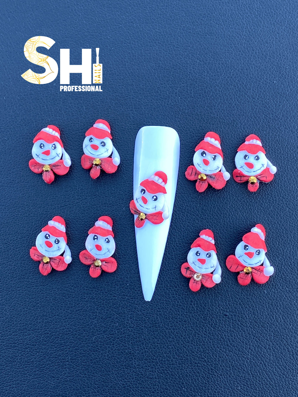 3D Christmas Snowman Shi Professional