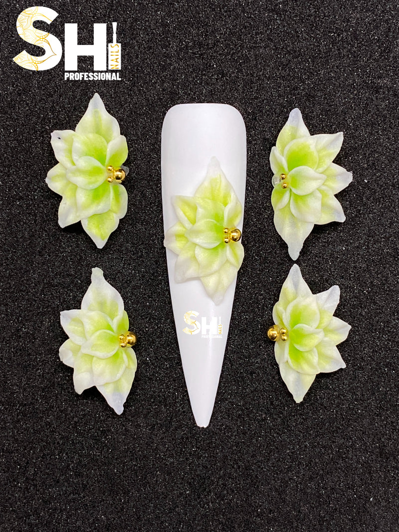 3D Double Petal Poinsettia Acrylic Flower Shi Professional