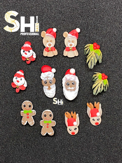 3-D Black Santa Christmas Collection V Shi Professional