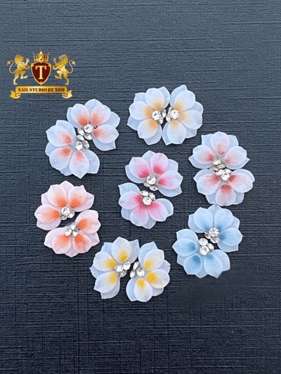3-D Sweetheart Ombre Flower Trial Set Shi Professional